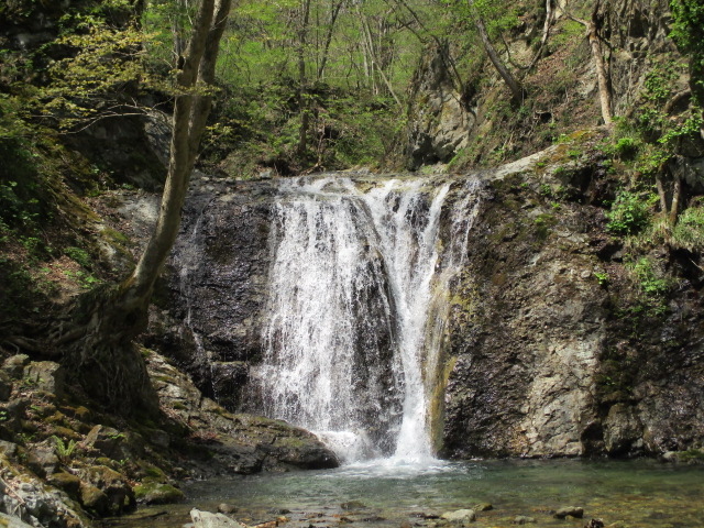 ���͂��ꂢ_�����̑�