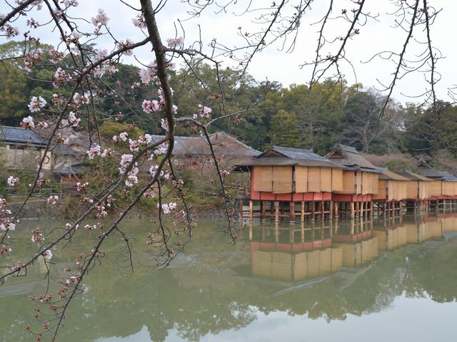 ���ƂƂ���_�����V���{�@�������r