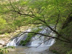 yosshyさんの釜淵の滝への投稿写真1