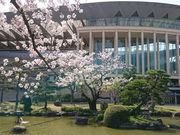 XkṽXo[K[qnXiMOS BURGERj̓eʐ^1