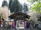 yosshyさんの桜山神社（岩手県盛岡市）の投稿写真1