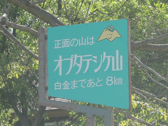 ���������ɂ��藧���Ă���R_�I�v�^�e�V�P�R