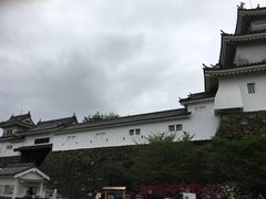 poporon̘a̎Rւ̓eʐ^1