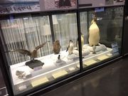 hituji̍ɒnɁEkɉȊwق̓eʐ^1