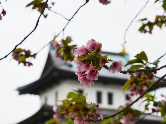 �V��t��w�i��_���O��