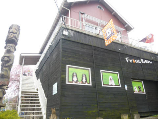 �h�b�O�J�t�F�@�O��_�t���E�w��