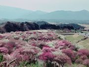 ӂ܂̂Ȃ׎s_ƌi~ьj̓eʐ^1