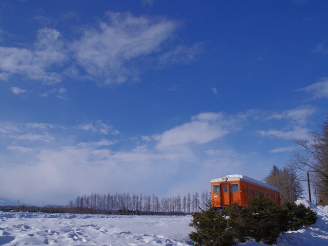 ������ɃI�����W���������B_�����w�E�K���w