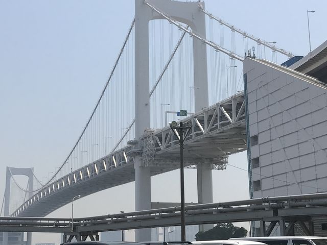 �����̂悤���B�~�~�~�̊K���V�����ł��B_���C���{�[�u���b�W�V����