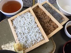 ́[т̐iXg ̋uւ̓eʐ^1