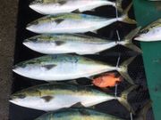 gN񂳂ZERO-1 FISHING SERVICE̓eʐ^1