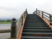 higekuma50̕̕킽̓eʐ^1