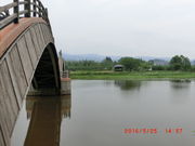 higekuma50̕̕킽̓eʐ^2