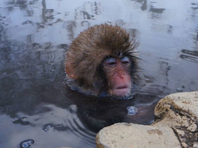 �C���������`_�n���J����