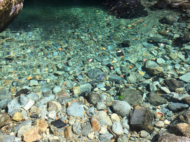 �C���_�C����̂������˂Ƃ�̓��e�ʐ^1