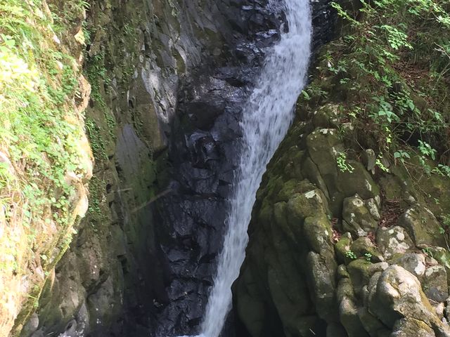 �؂藧������ɐ����悭������_�������˂Ƃ�