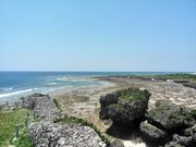 benxiaohai40����̋�u���Ղ̓��e�ʐ^1