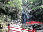 j`yťRisفj̓eʐ^2