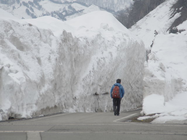 �l�̔w����������ς�������_������