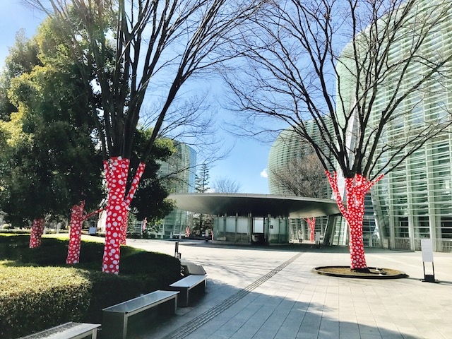 ���Ԝ\���W�̎��͖؂����ʂ�_�����V���p��