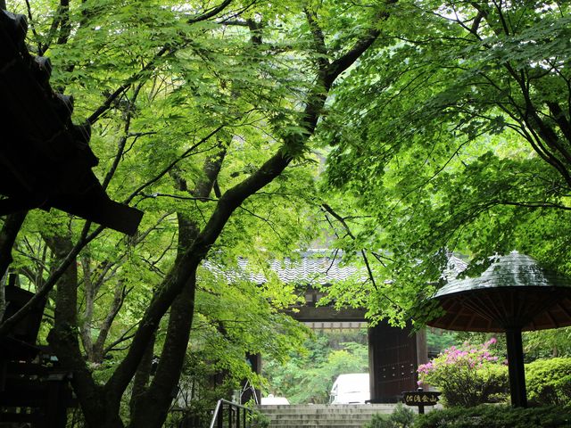 �@���v�R�̏o��_���n���R���