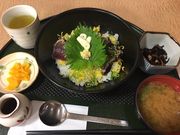 shin̓썑T[rXGAij̓eʐ^1