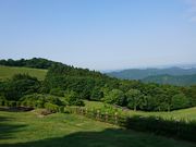 コ̍ʂ̍ӂꂠq̓eʐ^2