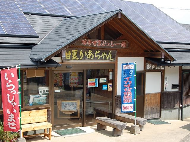 �y�ÉĂ��������z�C�J������y��_�Ďq�勴