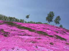 ���b�������̂����ł�����܂�̎ʐ^1