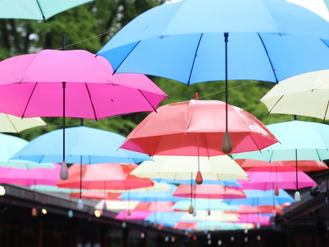 �A���u�����X�J�C���Ԓ��ɍs���Ă��܂����B�P���Ƃ��Ă����ꂢ�ł����B_�y��򐯖�G���A�@�n���j���e���X