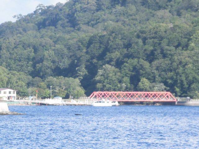 �R���S��_�x┌�