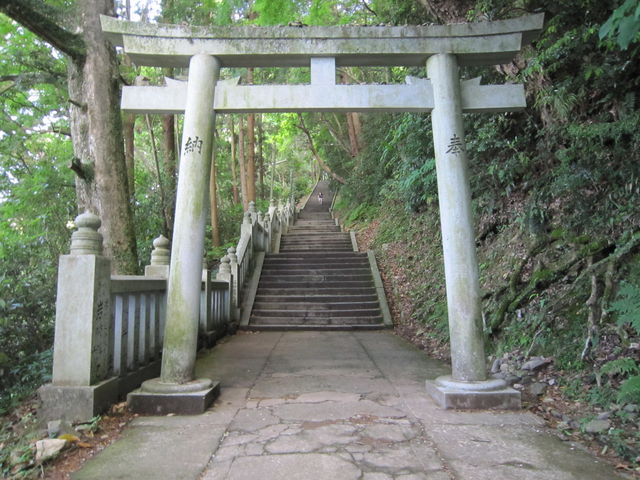 ���Ђ܂ł��Ɩ�Q�O�O�i�قǁB
��������ԃL�c�C�I�I_�����䗅�{