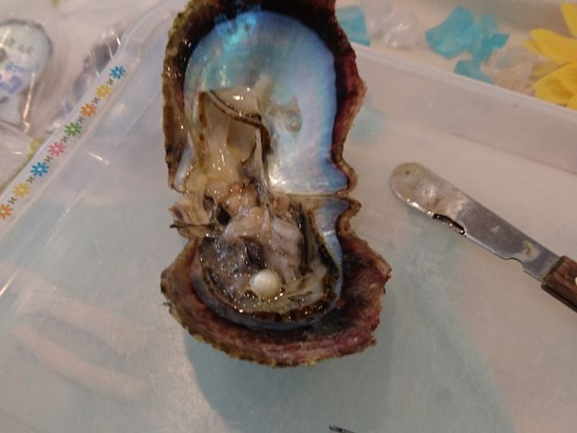 �^������o���Ƃ���_�^��삾���̌��@�a��{�^����X