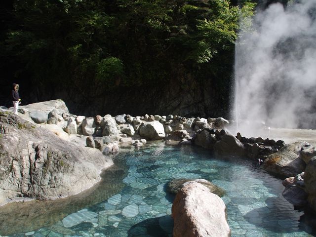 �I�V���C_���㉷��