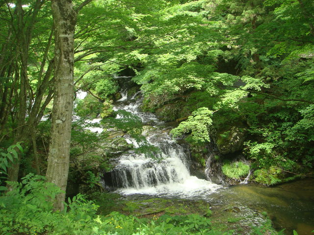 ��ڂ����ꂢ_������