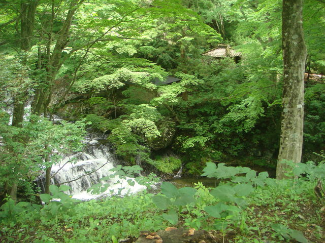 򂨏肳񂳂̏̓eʐ^2