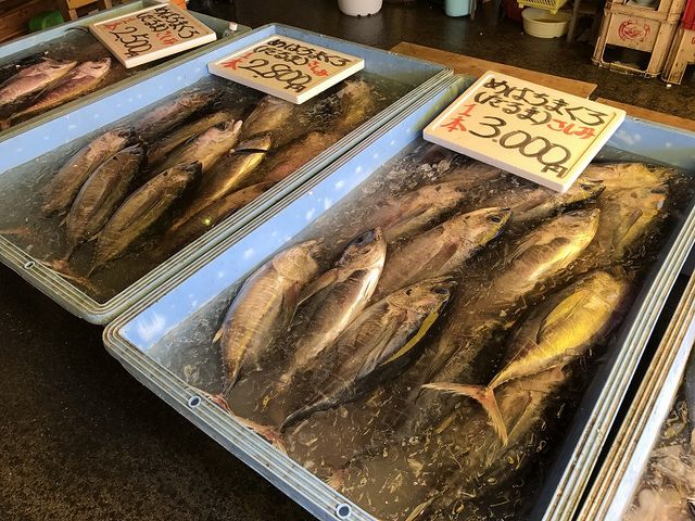 ���o�`�}�O��_���}�T���Y �s������X