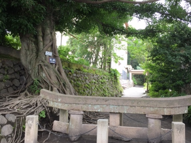 ���ۂ̒���_���_���v����