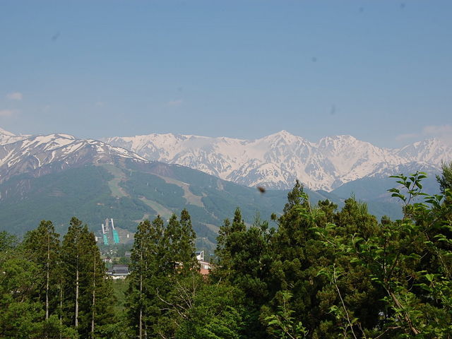 ���P�[�V�����������ł��B_���n�n�C�����h�z�e��