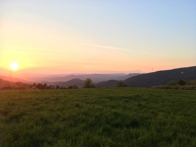 �[�Ă��I�I_��R���������̐X