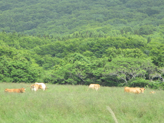 ���K�a������_���K��