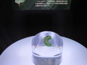 yosshỷKÔgق̓eʐ^3