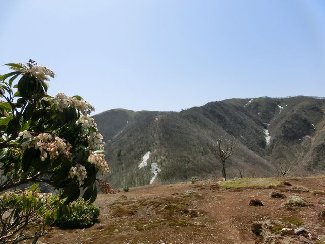 ܂܂ς񂾂̉Jx̓eʐ^3