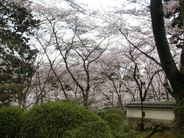 �O�䎛_�O�䎛�̍�