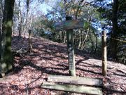 ܂܂ς񂾂̓CRiꌧÎsj̓eʐ^3