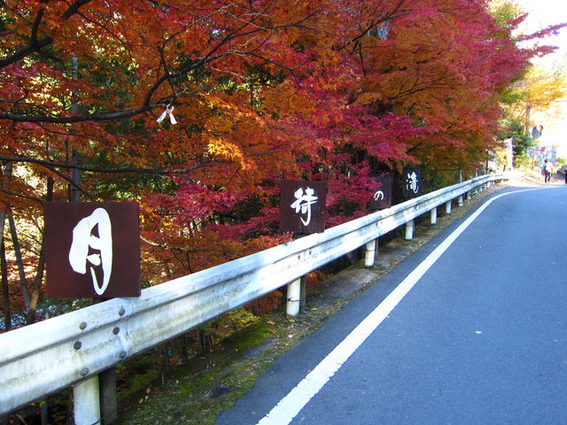 ���҂̑�_���҂̑���݂���