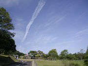 kari@̃I[gLvX̂Ȃׂ̓eʐ^1