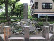 topology����̐��������a���n�̔�̓��e�ʐ^1