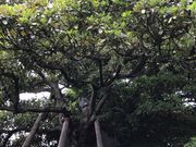 topology̒_Ђ̃CkOX̓eʐ^1