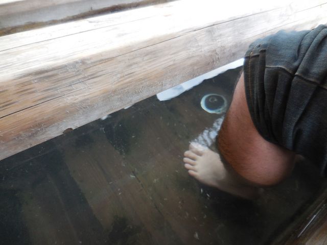 ����_�q���� ���� ���n������